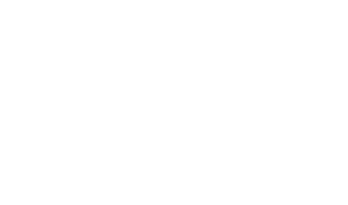 este es el logo alternativo de Santos Bigotes
