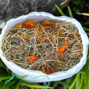 heno pangola con calendula