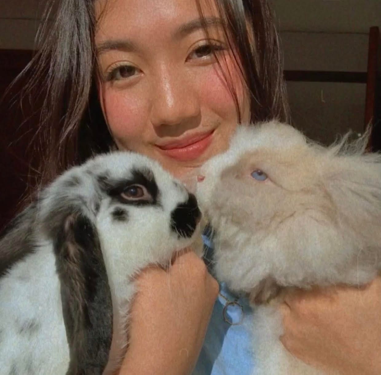 Santos Bigotes Conejos hermanos, medellin, cabeza de leon