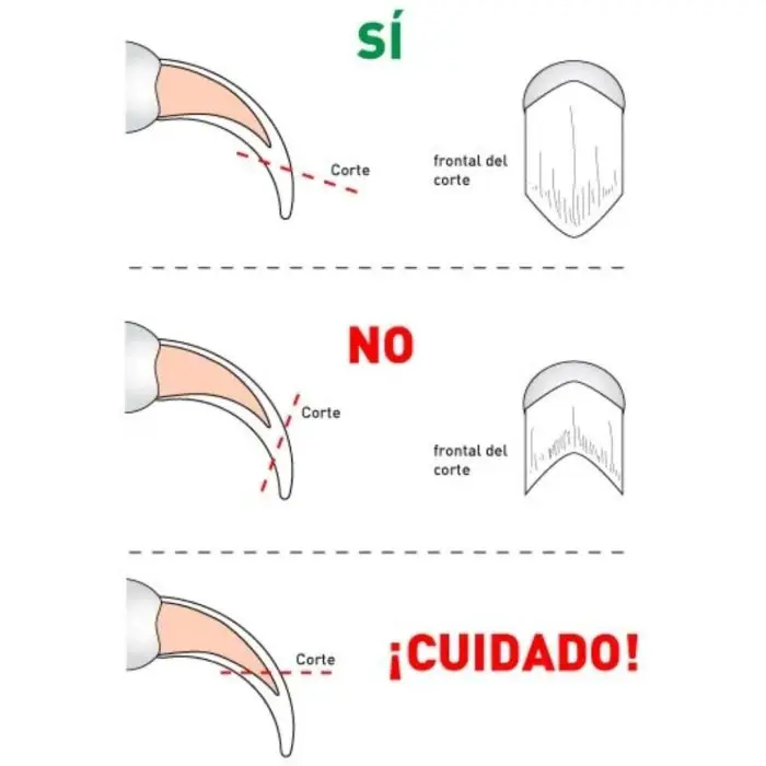 Cómo cortarle las uñas a un conejo - Cortauñas para mascotas