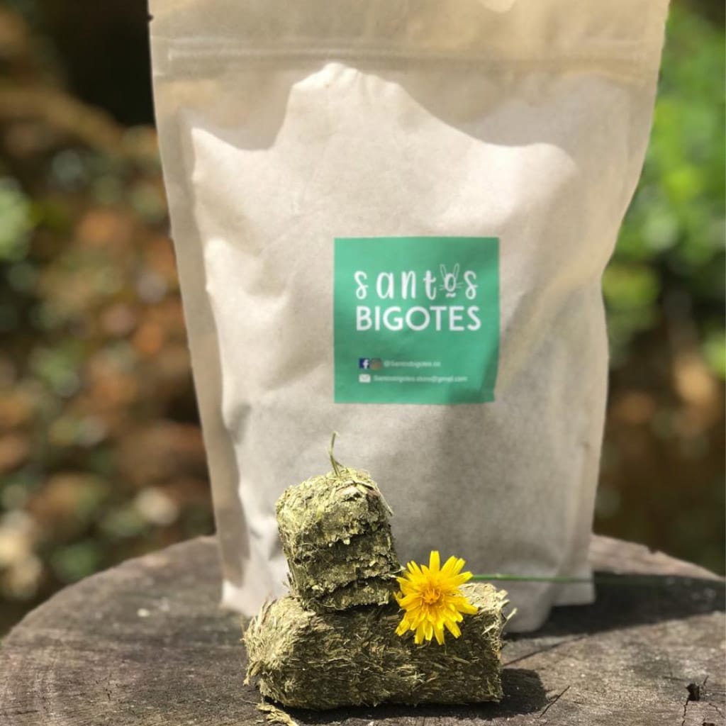 alfalfa chilena natural