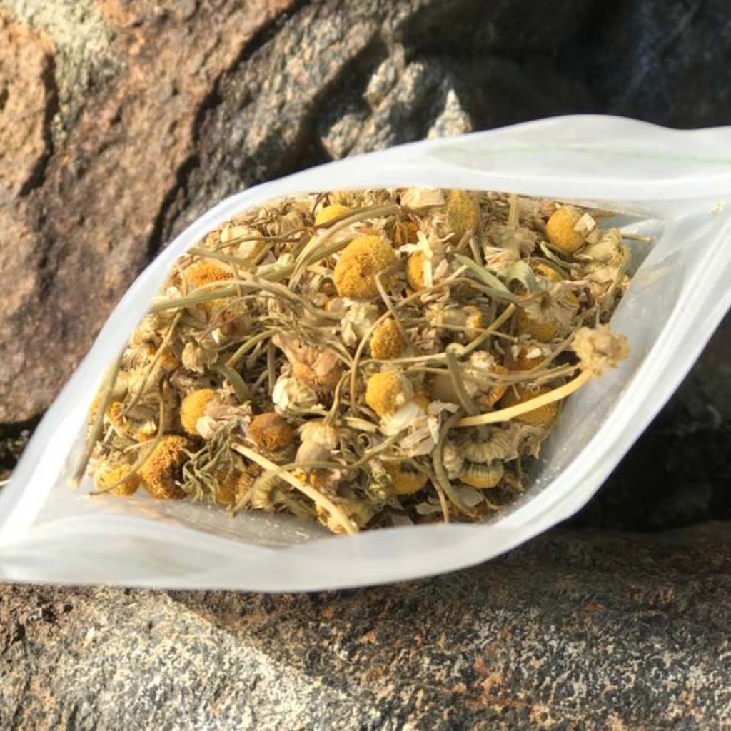 manzanilla para mascotas