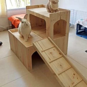 casas para conejos interior