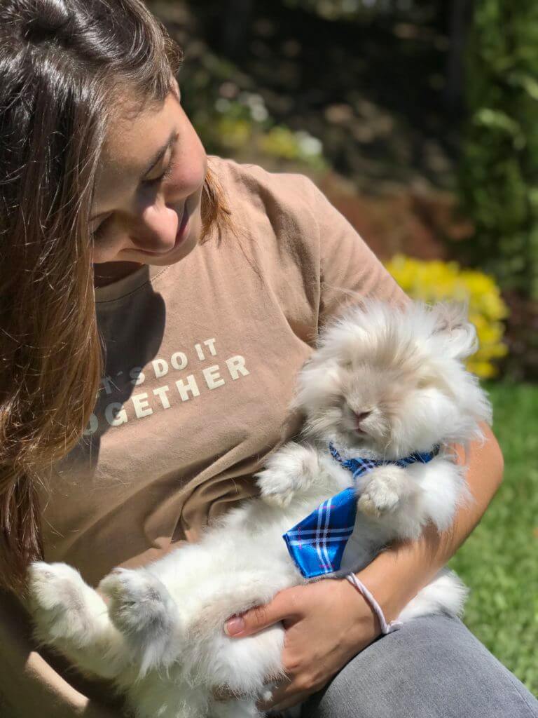 Sobre nosotros Santos Bigotes Conejito con corbatín azul