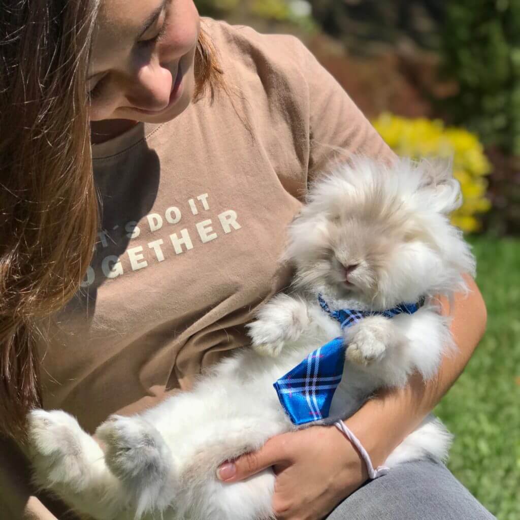 Conejito con corbatín azul