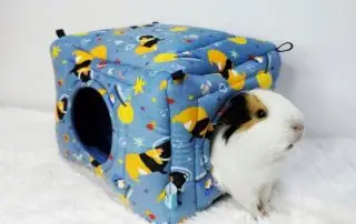 casita para cobayas, cama para cobayas