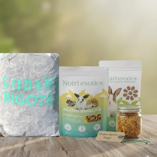 Qué comprarle a mi conejo